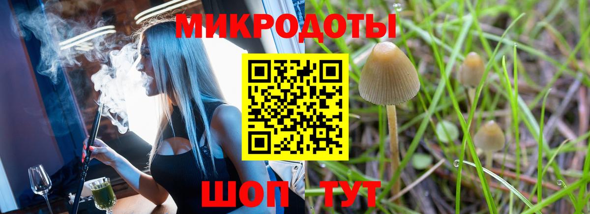 Галлюциногенные грибы Magic Shrooms  Вход с VPN  Галлюциногенные грибы мухоморы  Электросталь 